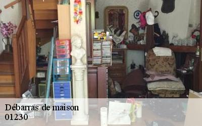 Débarras de maison  01230