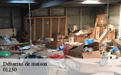 Débarras de maison  01230