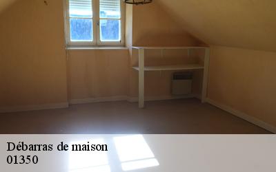 Débarras de maison  01350