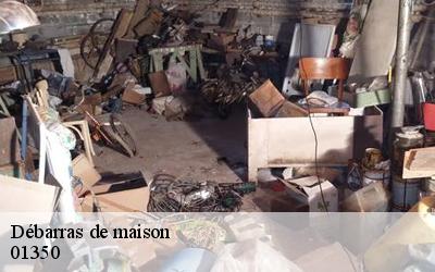 Débarras de maison  01350