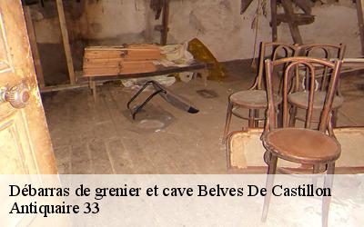 Débarras de grenier et cave  33350