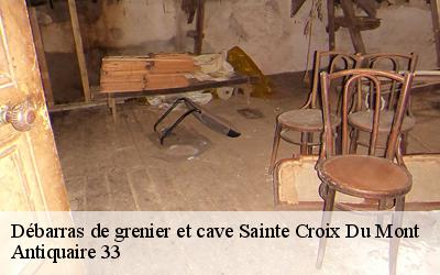 Débarras de grenier et cave  33410