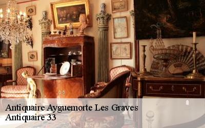 Antiquaire  33640