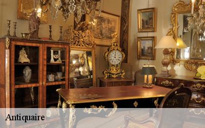Antiquaire 33660