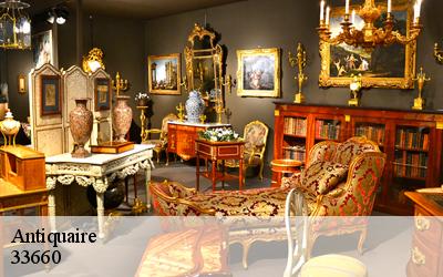 Antiquaire 33660