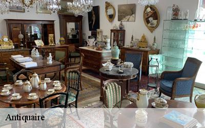 Antiquaire 33660